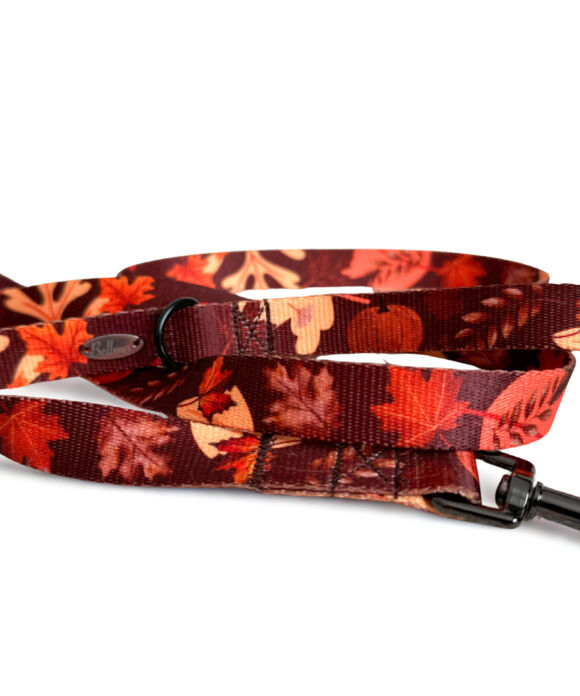 Smycz przepinana AutumnAura